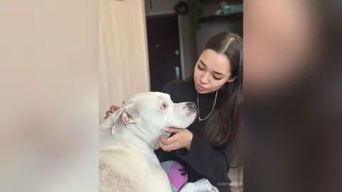 EmmyLee — EmmyLee with long dark hair sits indoors while petting a large white dog.