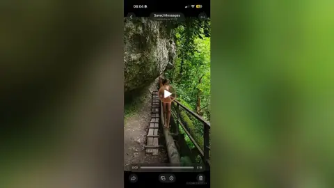 A woman in a bikini walking along a narrow wooden walkway through a lush, green tropical forest.