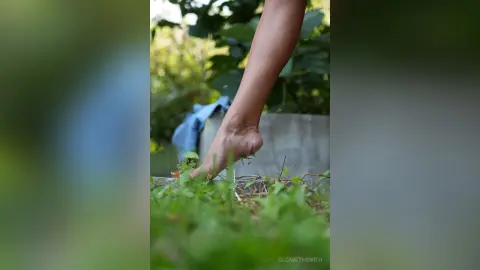 ElizabethSwith — The Little Gardener