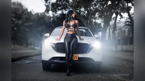 ValeryEvan — Drive me crazy