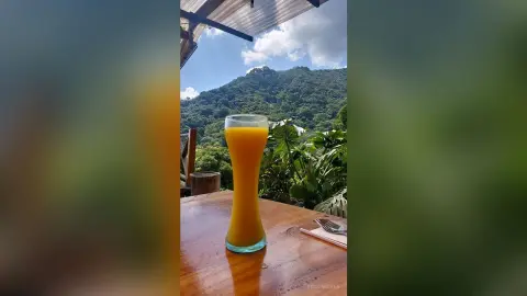 Refreshing glass of fresh mango juice on a wooden table overlooking a lush tropical jungle landscape.
