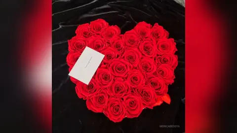MonicaBedoya — The most beauty flowers!!!