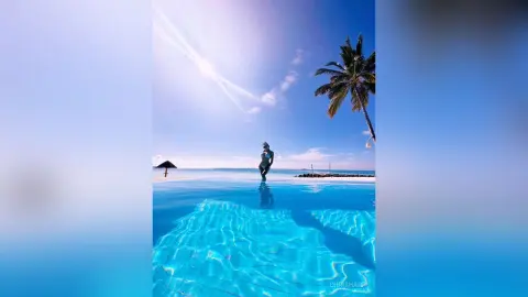 ChrisHarp —  PARADISE 🏝️