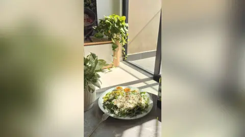 Healthy fresh salad bowl on a sunny balcony table next to lush green houseplants.