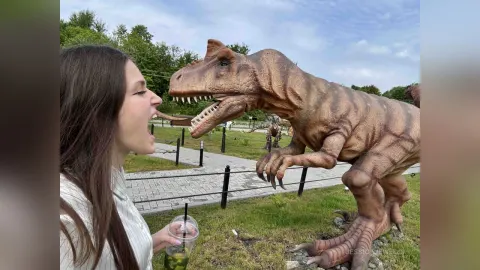 JessicaJewells — come with me to dino park?🦕🦖🦕