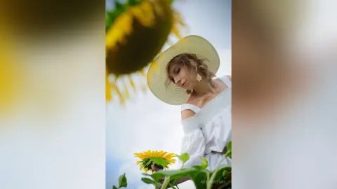AdrianStone — My sunflower summer 2024