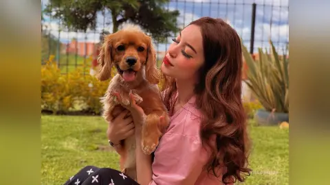 WillowDior — 🐶💛