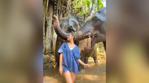 Happy woman in a blue striped tunic playing with elephants in a tropical jungle sanctuary.