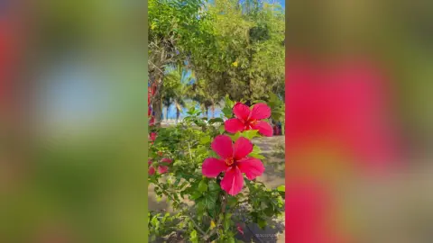 SukiiStark — 🏖️🏖️