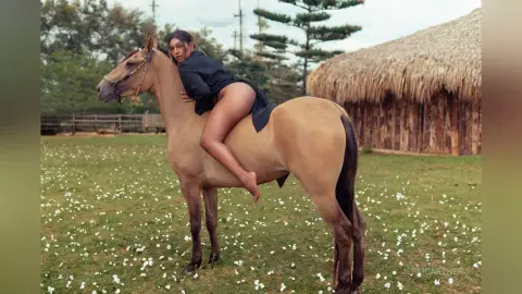 JessiCarther — Horse