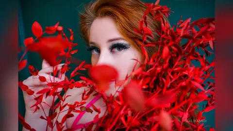 DaliKamer — spying u