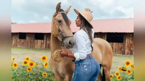 JessiCarther — Rider