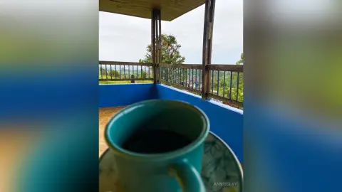 AnnieClay — TRIP EJE CAFETERO