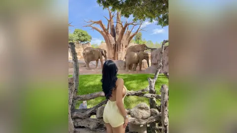 Violeta — 🐘🤍