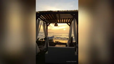 ScarleteBlake — 🌞🌼🌴