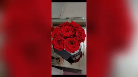 Julya — Best roses !
