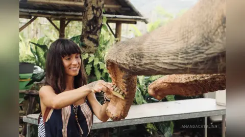 Smiling woman in a striped tank top cleaning a large wooden sculpture in a lush tropical garden setting.