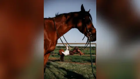 Cowgirl in western attire lying on a wooden fence in a sunny pasture next to a brown horse.