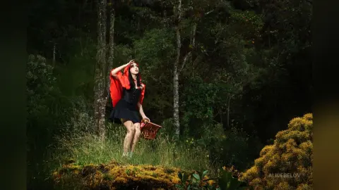 AliceBelov — Little Red Riding Hood.