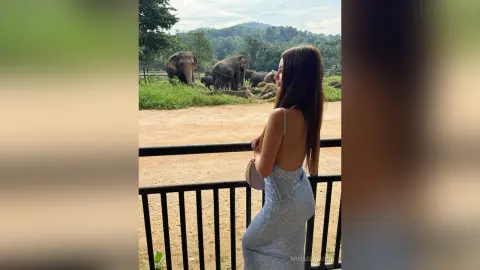 Woman in a sparkling silver dress overlooking elephants in a lush tropical safari setting.