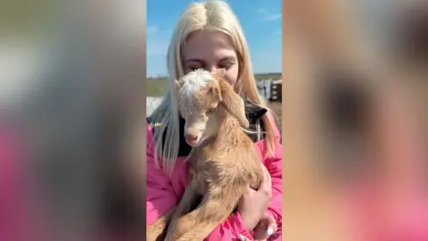 Blonde woman in a pink jacket cuddling a small baby goat in a sunny outdoor farm setting.