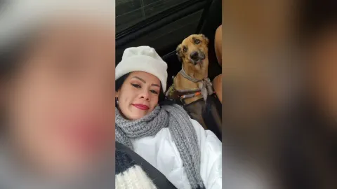 NikkitaHernandez — MORE OF HOLLYDAYS