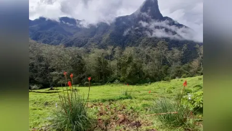AnneGale — trip SALENTO COCORA
