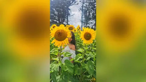 Young woman in a white top smiling amidst a bright field of tall sunflowers under a sunny sky.