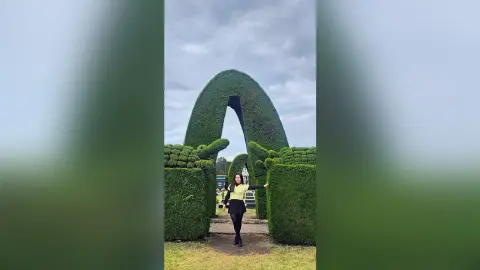 ElizaLuxe — Beautiful places🌱💛
