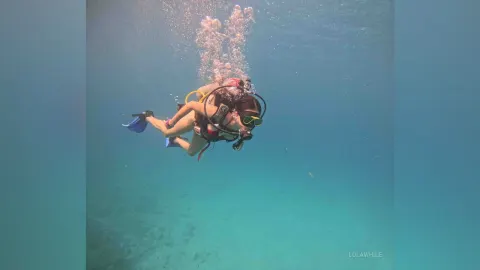 LolaWhile — Dive