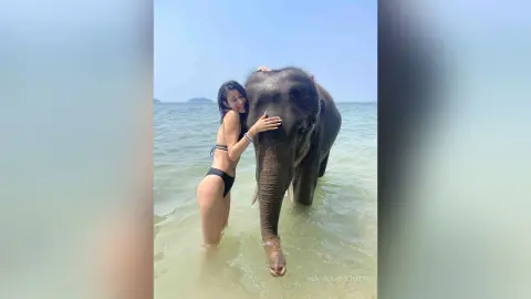 HannahHenn — 🐘