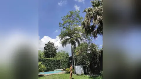 MissyJohansson stands naked in a grassy backyard next to a swimming pool, surrounded by tall palm trees and lush green bushes under a blue sky.