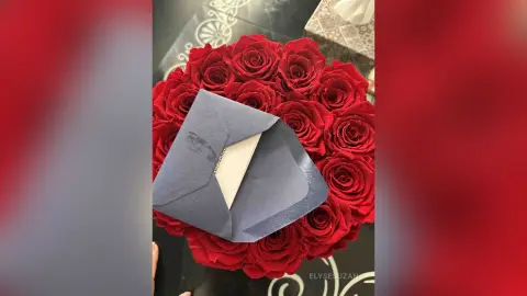 ElyseSuzan — Spoil me from guys🎁
