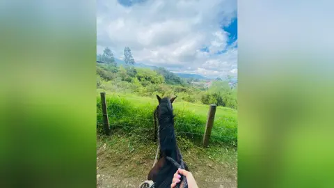Back view of a person riding a dark horse through a lush green mountain landscape under a cloudy sky.