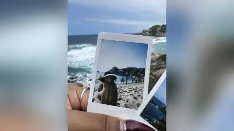 JessiCarther — Nature ✨