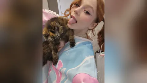RemiLuna — kittens