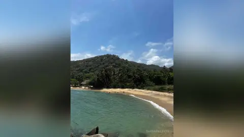 Serene tropical beach with turquoise ocean waves washing onto a sandy shore under a bright blue sky.