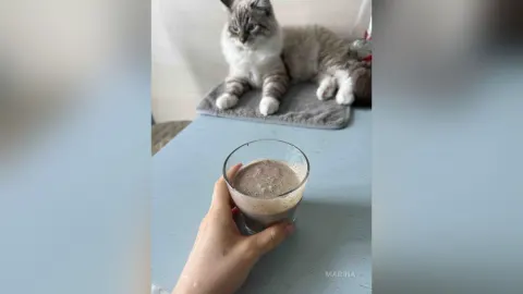 MariNa — My kitten 🐈‍⬛