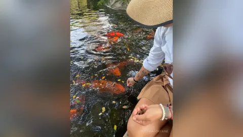 VictoriaFontaine, wearing a straw hat and white shirt, feeds orange koi fish in a dark pond.