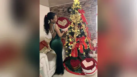 VivianaTaylor — 2024 🎄🥂