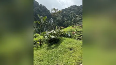 Lush green tropical landscape featuring a misty waterfall cascading down a jungle mountain under a cloudy sky.