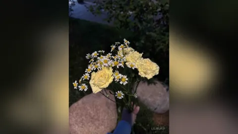 LiliBlair — Sweetie