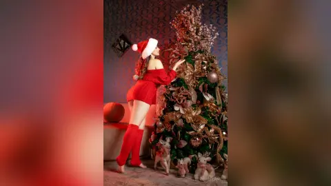BrianaBelamy — Briana's Christmas