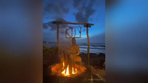ScarleteBlake — 🌞🌼🌴
