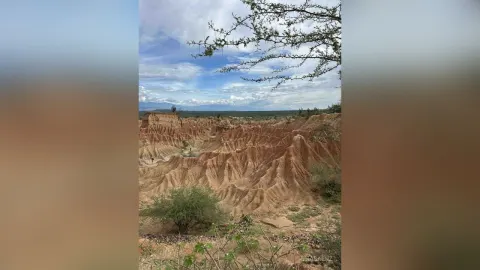 EliaSaenz — 🏜️ 