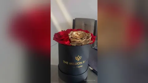 MirianLavegne — ✨