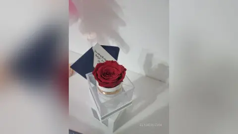 ElyseSuzan — Spoil me from guys🎁