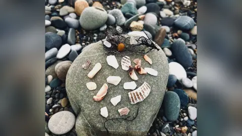 Assorted sea shells and dried seaweed arranged on a large grey stone amidst smooth beach pebbles.