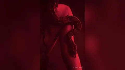 ScarlettSaenz — 🐍