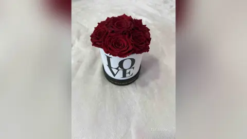 EmiBrow — 🌹 